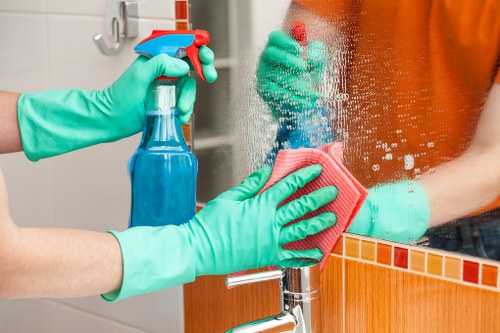 Professional carpet cleaning service for homes in Ealing