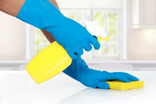 Professional house cleaning service for homes in Ealing