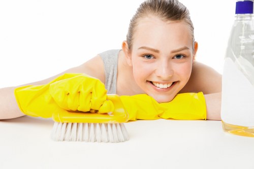Cleaning a modern apartment in Ealing