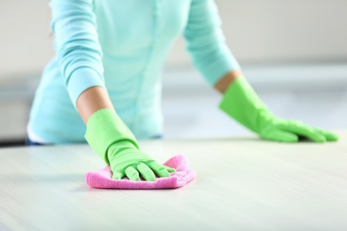 Step-by-step sofa cleaning process in a local Ealing property