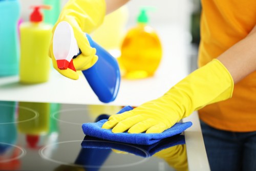 Regular home cleaning support for households in Ealing