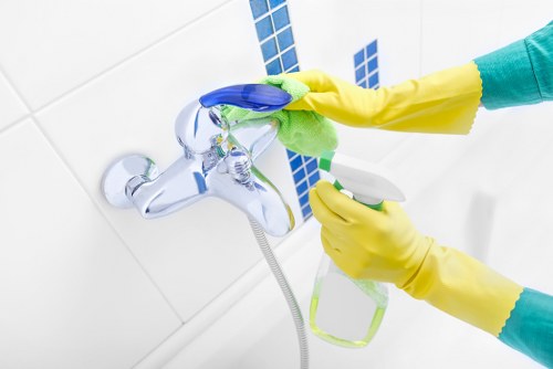 Domestic cleaning service in Ealing for busy households