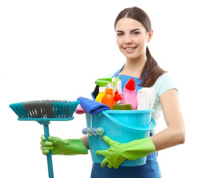 Supervisor reviewing safety procedures for a cleaning job