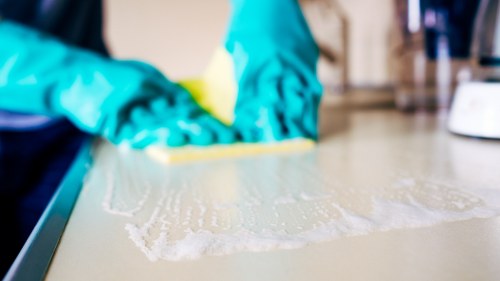 Professional carpet cleaner treating a hallway carpet in Ealing