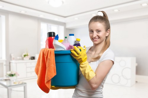 Kitchen deep cleaning and appliance detail work