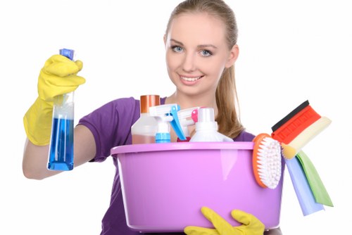 Deep carpet cleaning equipment used in a Ealing property