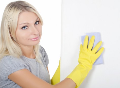Thorough deep clean in Ealing living room and hallway areas